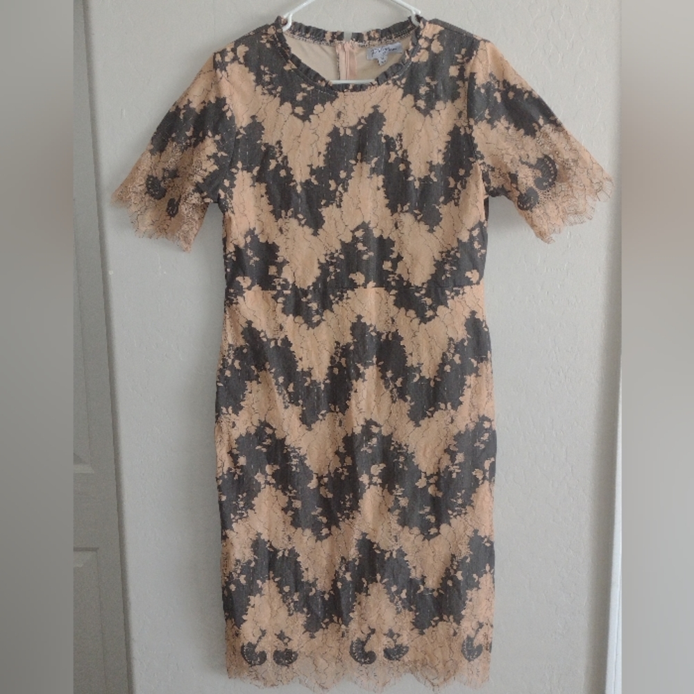 Polagram Two Toned Chevron Lace Sheath Dress Knee Length Short Sleeve Womens -M